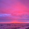 neonsunsetss